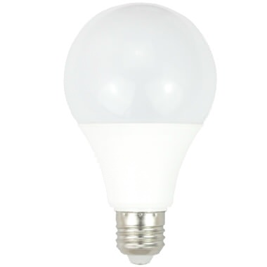 LED bulb A80 6-80VDC 15W 